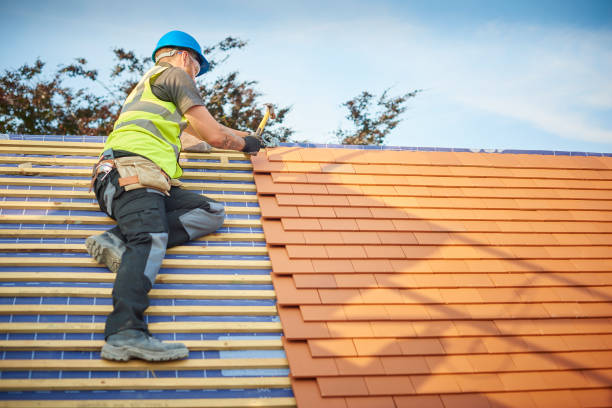 Best Metal Roofing Installation  in Socorro, NM